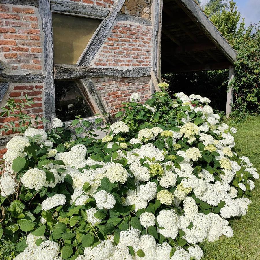 Bed and Breakfast La Ferme Du Grand Faubourg Pont-de-Vaux Zewnętrze zdjęcie